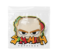 SAMMIE JR. HEAT TRANSFER PATCH