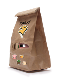 PIGGY SMALLS SAM MICH MYSTERY BAG
